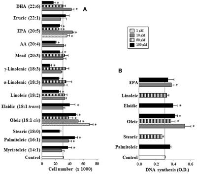 Dual Behavior of Long-Chain Fatty Acids and Their Cyclooxygenase/Lipoxygenase Metabolites on Human Intestinal Caco-2 Cell Growth